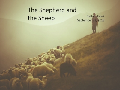 The Shepherd and the Sheep